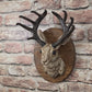 3D Jackalope Wall Mount